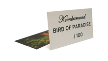 Load image into Gallery viewer, Bird of Paradise
